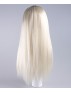 Evil Bride II Adult Women's Wig